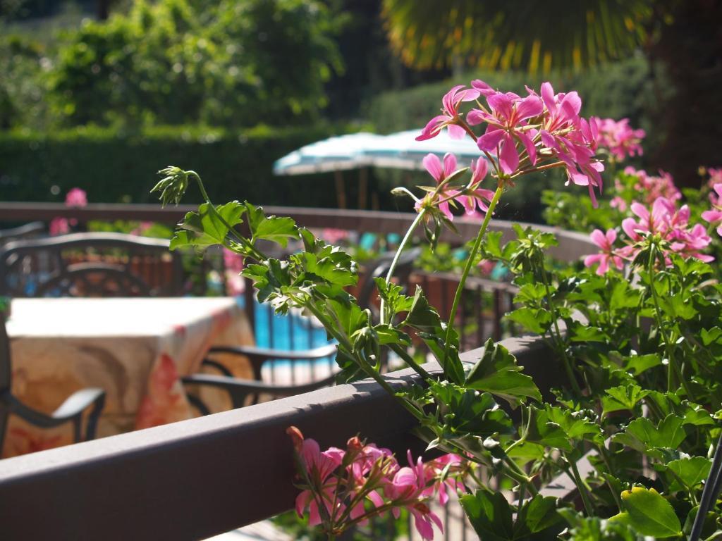 Hotel Casa Serena Malcesine Zewnętrze zdjęcie